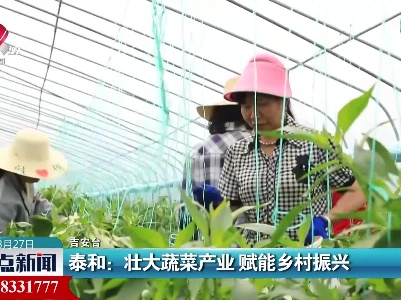 泰和：壮大蔬菜产业 赋能乡村振兴