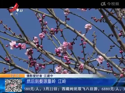 【赣闻天下】九江庐山：红梅报春 游客来