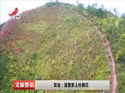江西文旅报道20220331
