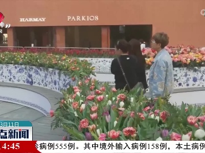 庆祝中荷建交50周年 荷兰花艺装置展亮相重庆