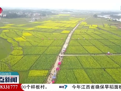 吉安：油菜花海铺锦绣 美丽乡村入画来