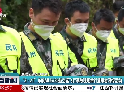 【东航客机坠毁事故】
