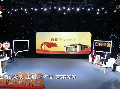 社会传真20220307 云聊两会——乡村振兴样板之地如何打造