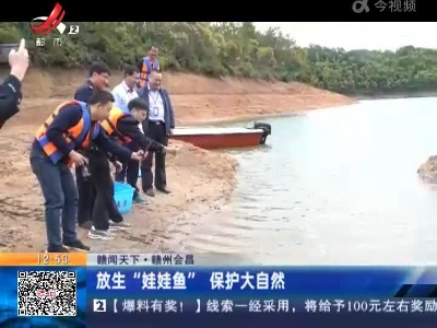 【赣闻天下】赣州会昌：放生“娃娃鱼”保护大自然