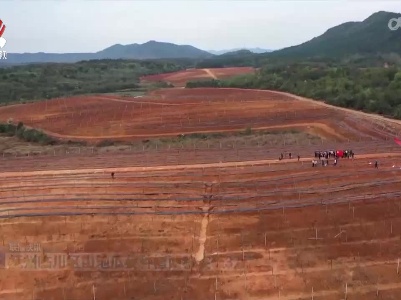 抚州临川区山地瓜蒌种植面积突破3万亩
