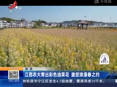 都市现场20220316