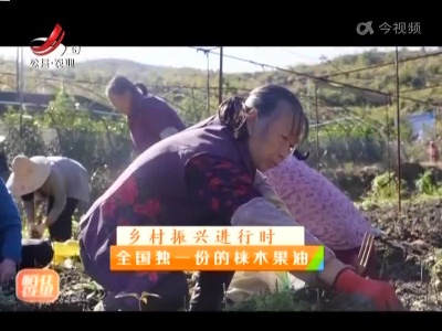 稻花香里20220328 乡村振兴进行时——全国独一份的梾木果油