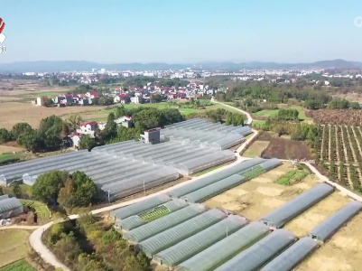 行业联合 区域联合 吉安县探索农民合作社质量提升新路径