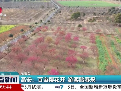 整点新闻20220306 16:00