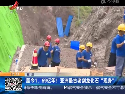 重庆：距今1.69亿年！亚洲最古老剑龙化石“现身”