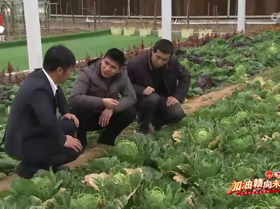 【加油“赣” 向未来·直通两会】李洪亮：让乡亲们生活越过越有盼头