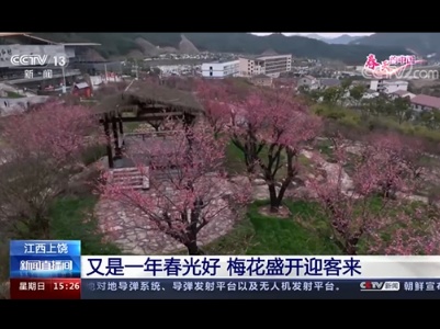 【春天的中国】江西上饶：又是一年春光好 梅花盛开迎客来