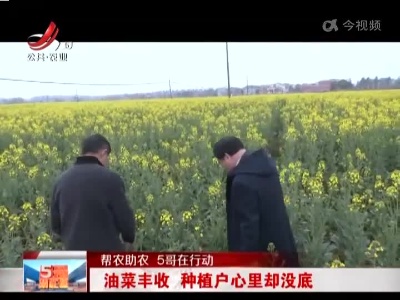 【帮农助农 5哥在行动】油菜丰收 种植户心里却没底