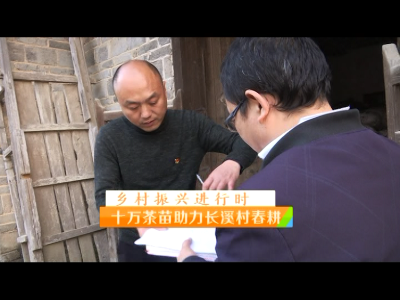 稻花香里20220325 乡村振兴进行时——十万茶苗助力长溪村春耕