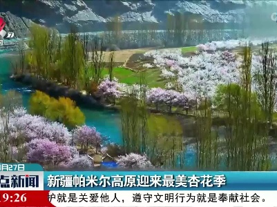 新疆帕米尔高原迎来最美杏花季