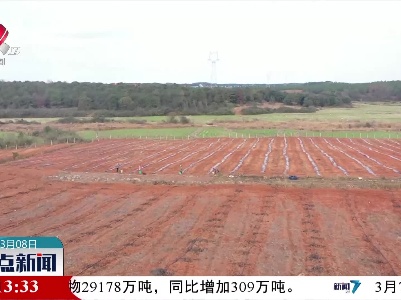 整点新闻20220308 14:00