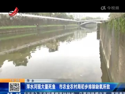 萍乡：萍水河现大量死鱼 市农业农村局初步排除缺氧所致