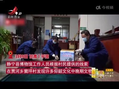 村民菜园翻地 挖出5000年前文物