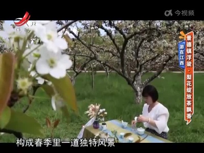 【游在江西】景德镇浮梁·梨花绽放茶飘香