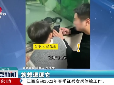 男子给猩猩看视频 它竟示意“往下滑”