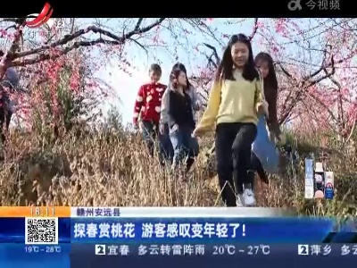 赣州安远县：探春赏桃花 游客感叹变年轻了！