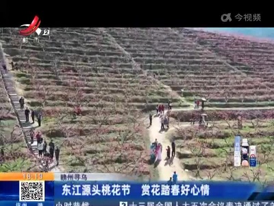 赣州寻乌：东江源头桃花节 赏花踏春好心情