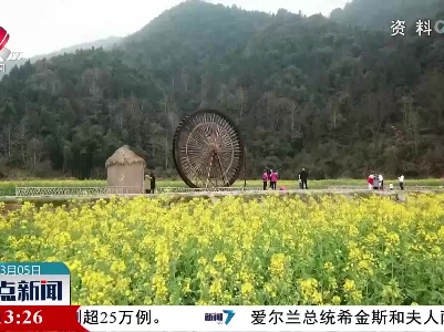 一雷惊蛰始：微雨众卉新