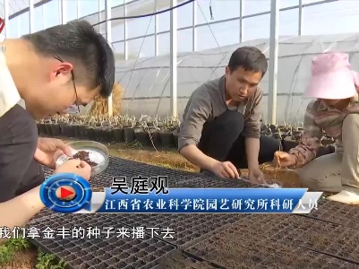 社会传真20220328 破译“种芯”的密码