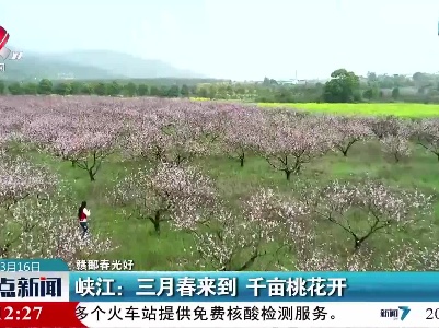 【赣鄱春光好】峡江：三月春来到 千亩桃花开