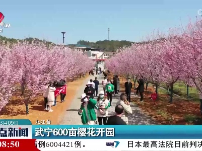 武宁600亩樱花开园