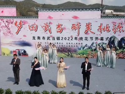 赣州龙南：梦回武当醉美桃园  武当桃花节拉开帷幕