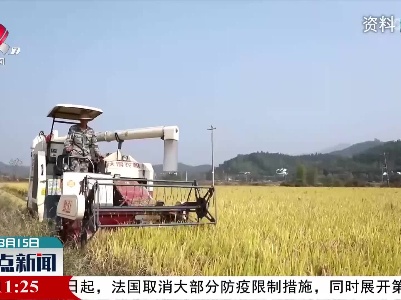 2021年江西省累计收购粮食190.7亿斤