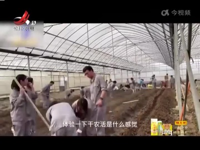 新闻晚高峰20220301