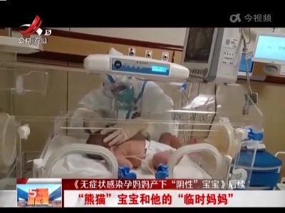 《无症状感染孕妈妈产下“阴性”宝宝》后续：“熊猫”宝宝和他的“临时妈妈”