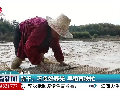 新干：不负好春光 早稻育秧忙