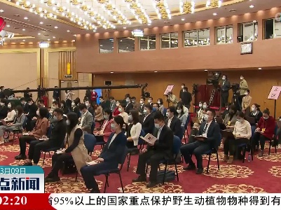 【聚焦全国两会】肖亚庆：进一步扩大“专精特新”中小企业的规模和范围