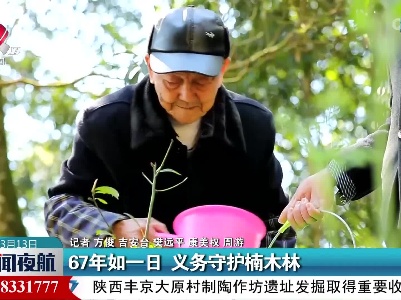 67年如一日 义务守护楠木林
