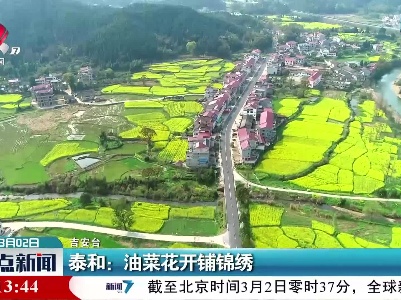 泰和：油菜花开铺锦绣