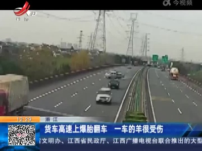 浙江：货车高速上爆胎翻车 一车的羊很受伤
