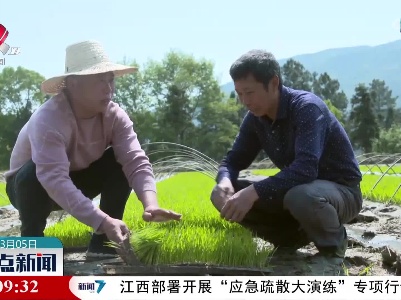 江西全力以赴做好今年粮食生产