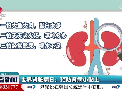 世界肾脏病日：预防肾病小贴士