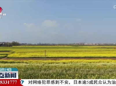 整点新闻20220314 16:00