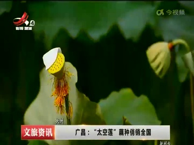 广昌：“太空莲”藕种俏销全国