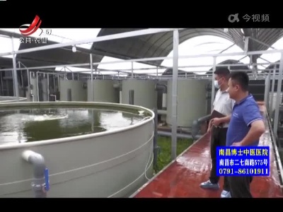 三农要闻20220317