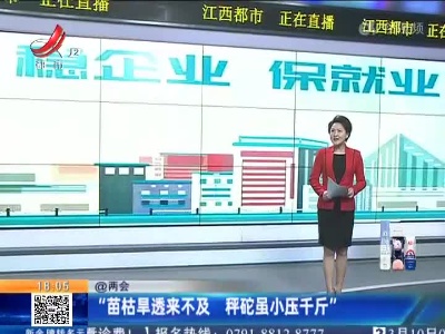 【@两会】“苗枯旱透来不及 秤砣虽小压千斤”