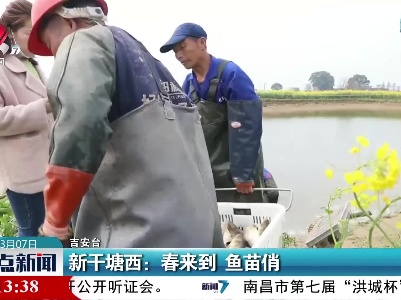 新干塘西：春来到 鱼苗俏