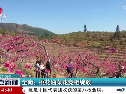 全南：桃花油菜花竞相绽放