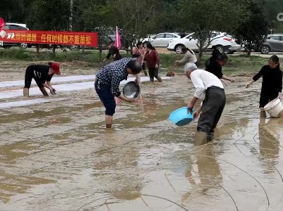 江西：稳面积 挖潜力 早稻播种全面展开