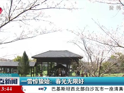 一雷惊蛰始：春光无限好