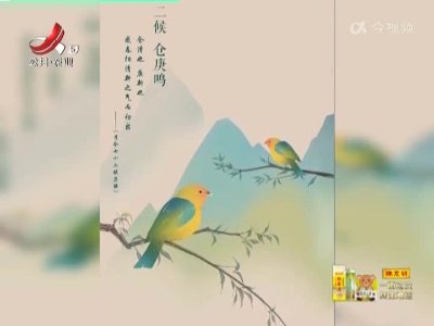 惊蛰！
